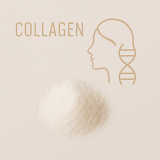 Kollagen - das Powerprotein für Haut, Haare, Gelenke und mehr
