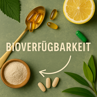 Bioverfügbarkeit erklärt: Warum nicht alles im Körper ankommt